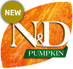 3pumpkin.png 3pumpkin.png