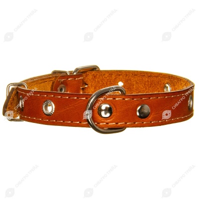 Ошейник кожаный СТАНДАРТ 2 см, до 44 см, РЫЖИЙ, ДАРЭЛЛ