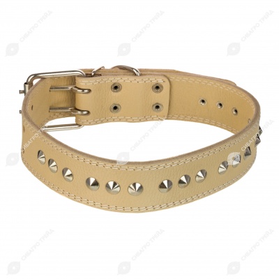 Ошейник №45 кожаный (ДВОЙНОЙ), ЧК