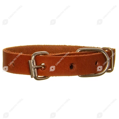 Ошейник кожаный 15(1) короткий, цветной, ZOOМИР