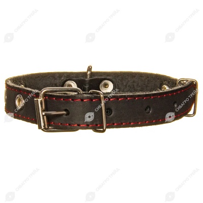 Ошейник кожаный СТАНДАРТ 2 см, до 44 см, ЧЁРНЫЙ, ДАРЭЛЛ