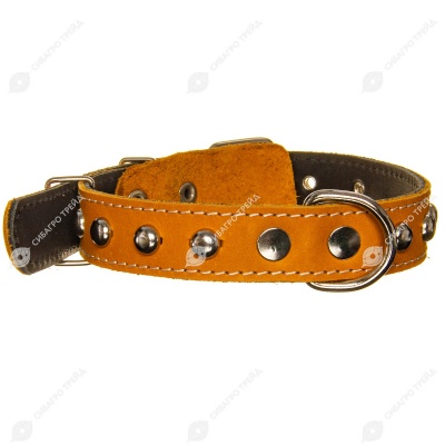 Ошейник кожаный 30(2) украшенный цветной, ZOOМИР