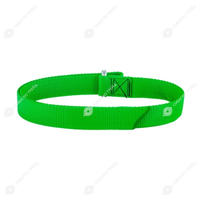 Ошейник для КРС на кольцевой пряжке, зеленый