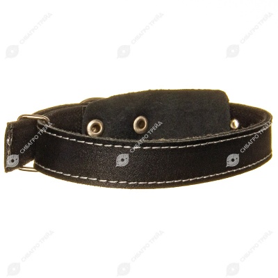 Ошейник кожа + брезент 25(2), ZOOМИР