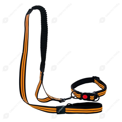 Набор для собак со светоотражающим элементом поводок (120 * 2 см)+ошейник, микс, NUNBELL