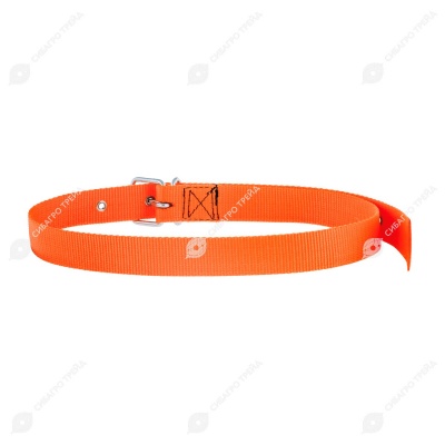 Ошейник для КРС на ременной пряжке, оранжевый