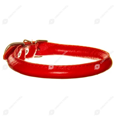 Ошейник кожаный CORD (КРУГЛЫЙ) цветной, d 1 см, пряжка 1,6 см, 40 - 46 см