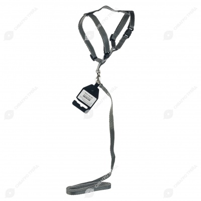 Комплект шлейка (ОШ 20-30 см, ОГ 30-45 см) и поводок (1,2 м), 1 см, СЕРЫЙ, ДАРЭЛЛ