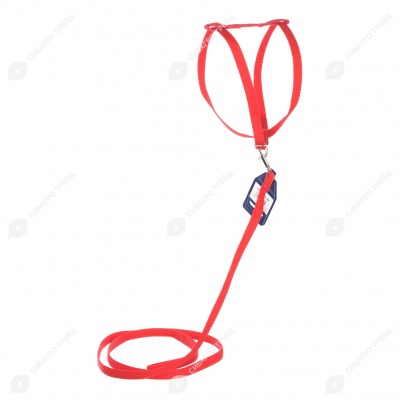 Комплект шлейка (ОШ до 25 см) и поводок (1,2 м), 1,2 см, КРАСНЫЙ, ДАРЭЛЛ