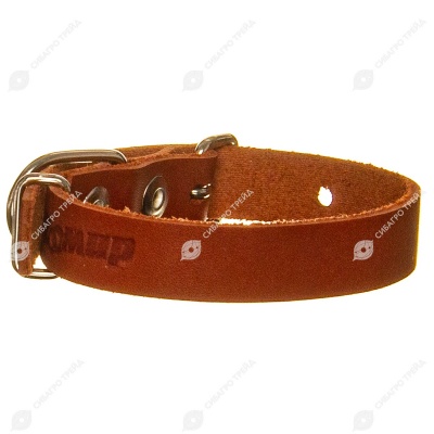 Ошейник кожаный 15(1) короткий, цветной, ZOOМИР