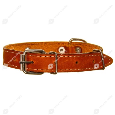 Ошейник кожаный СТАНДАРТ 2 см, до 44 см, РЫЖИЙ, ДАРЭЛЛ