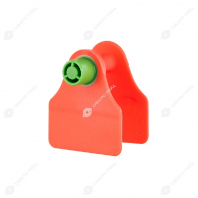 Бирка ушная двойная для свиней (47 * 40 мм) без номера, красная, 100 шт