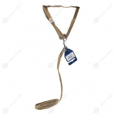 Комплект шлейка (ОШ до 25 см) и поводок (1,2 м), 1,2 см, БЕЖЕВЫЙ, ДАРЭЛЛ