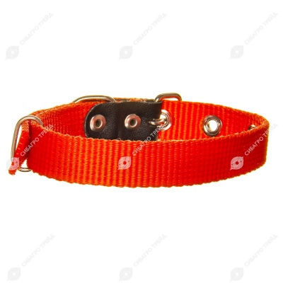 Ошейник капроновый 20(1) цветной, ZOOМИР