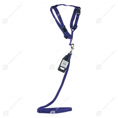 Комплект шлейка (ОШ 20-30 см, ОГ 30-45 см) и поводок (1,2 м), 1 см, ФИОЛЕТОВЫЙ, ДАРЭЛЛ