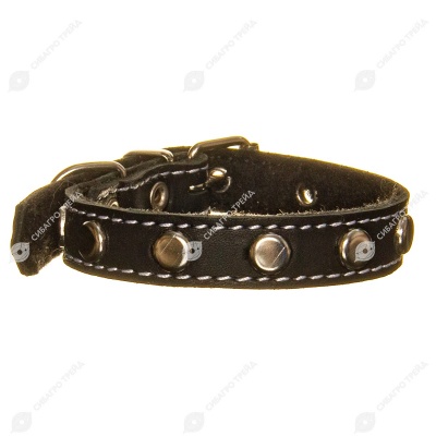 Ошейник №15 кожаный (СИНТЕПОН, УКРАШЕНИЕ), КАСКАД