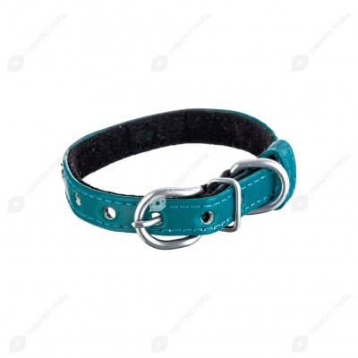 Ошейник цветной с украшением стразы сплошной ряд 10/260