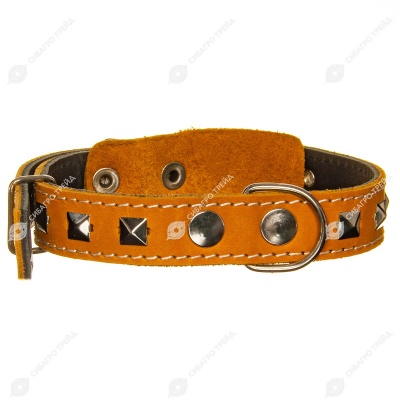Ошейник кожаный 25(2) украшенный цветной, ZOOМИР
