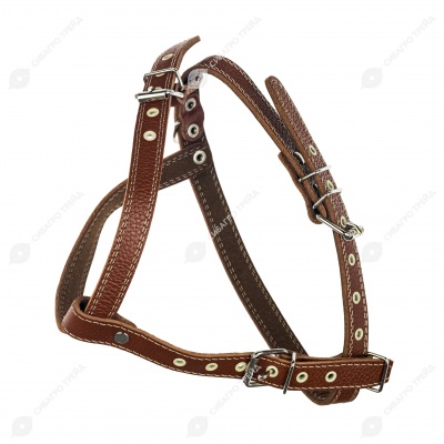 Шлейка кожаная для французского бульдога, ЧК