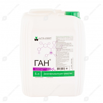 ГАН, 5 л