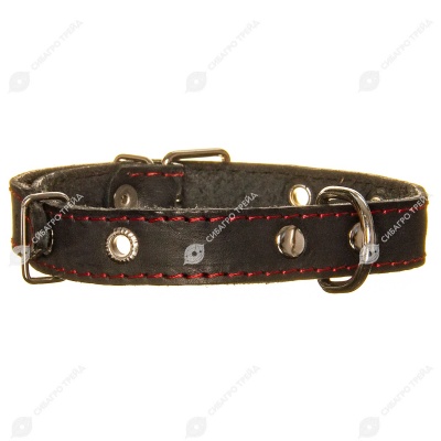 Ошейник кожаный СТАНДАРТ 2 см, до 44 см, ЧЁРНЫЙ, ДАРЭЛЛ