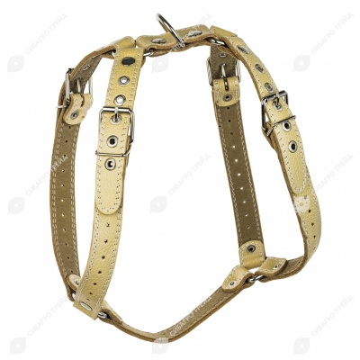 Шлейка кожаная для питбуля, ЧК