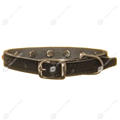 Ошейник кожаный (СТРАЗЫ) 19 - 26,5 см, 1 см, ЗООНИК