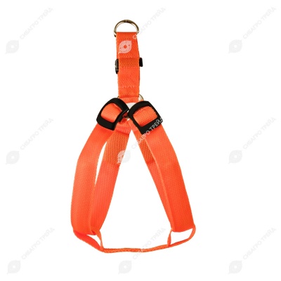 Шлейка светящаяся (стропа 2,5 см, ОГ 43-60 см), 3 режима свечения, размер L, оранжевая