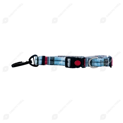 Комплект №20 (ширина 20 мм, ошейник+поводок 1,5 м) нейлон с дизайном, ЧК