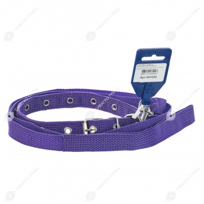 Комплект ошейник (до 45 см) и поводок (1,2 м), 2 см, ДАРЭЛЛ