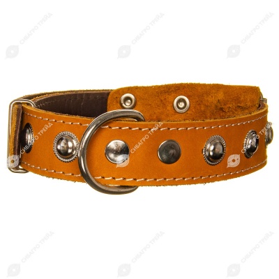 Ошейник кожаный 35(2) украшенный цветной, ZOOМИР