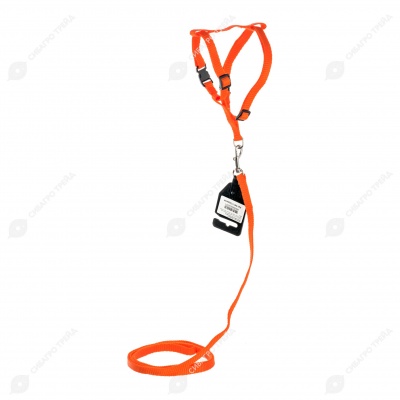 Комплект шлейка (ОШ 20-30 см, ОГ 30-45 см) и поводок (1,2 м), 1 см, ОРАНЖЕВЫЙ, ДАРЭЛЛ
