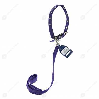 Комплект ошейник (до 45 см) и поводок (1,2 м), 2 см, ДАРЭЛЛ