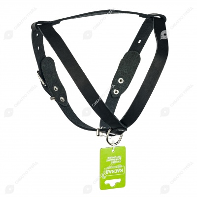 Шлейка №20 кожаная, КАСКАД