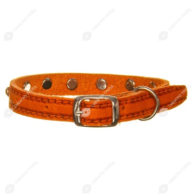Ошейник кожаный (СТРАЗЫ) 19 - 26,5 см, 1 см, ЗООНИК