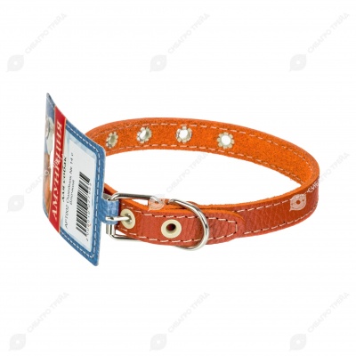 Ошейник №14 кожаный (БЛОЧКА), ЧК