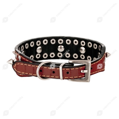 Ошейник для собак (38 * 2,8 см), микс, NUNBELL
