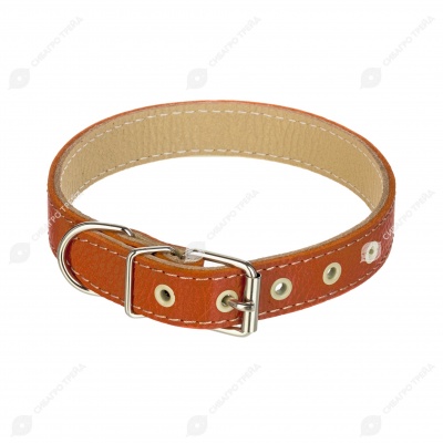 Ошейник №20 кожаный (ДВОЙНОЙ), ЧК