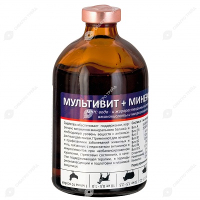 МУЛЬТИВИТ+МИНЕРАЛЫ, 100 мл