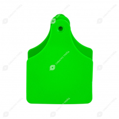 Бирка двойная СКС (61 * 80 мм) зелёная без номера (под щипцы СКС с иглой), 100 шт