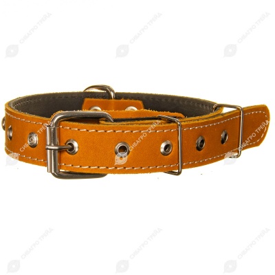 Ошейник кожаный 30(2) украшенный цветной, ZOOМИР