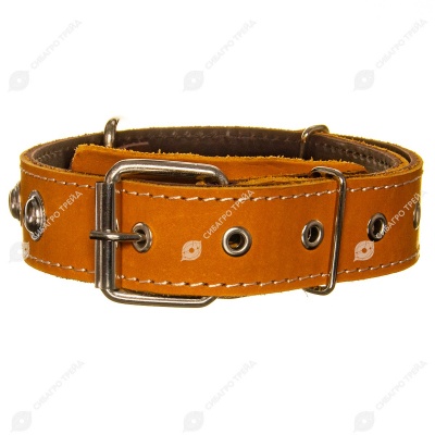 Ошейник кожаный 35(2) украшенный цветной, ZOOМИР