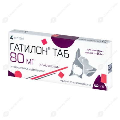 Гатилон 80 мг, 10 табл