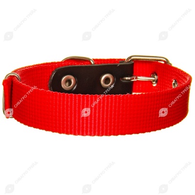 Ошейник капроновый 25(1) цветной, ZOOМИР
