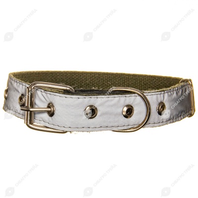 Ошейник брезентовый 25(1) светоотражающий, ZOOМИР