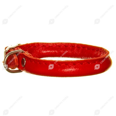 Ошейник кожаный CORD (КРУГЛЫЙ) цветной, d 0.5 см, пряжка 1 см, 18 - 22 см