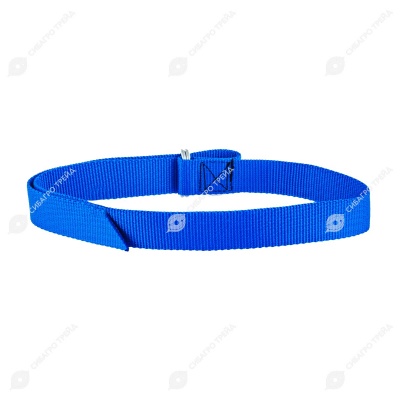 Ошейник для КРС на кольцевой пряжке, синий