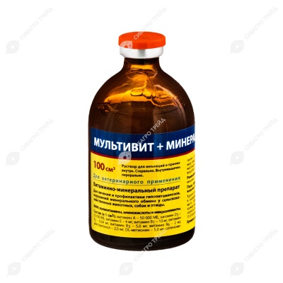 МУЛЬТИВИТ+МИНЕРАЛЫ, 100 мл