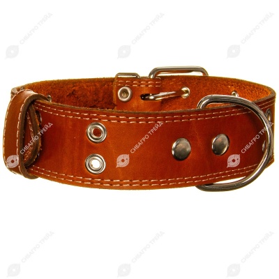 Ошейник кожаный СТАНДАРТ 4,5 см, до 70 см, РЫЖИЙ, ДАРЭЛЛ