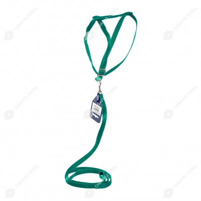 Комплект шлейка (ОШ до 25 см) и поводок (1,2 м), 1,2 см, ЗЕЛЁНЫЙ, ДАРЭЛЛ